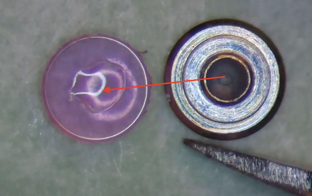 Chaton repositionné