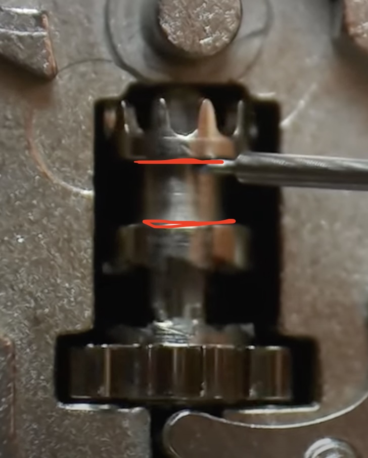 Gorge du pignon de remontage